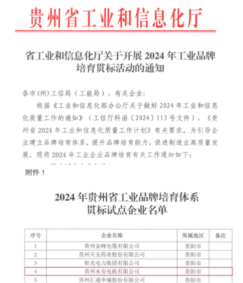 喜訊！貴州永安榮獲“2024年貴州省工業(yè)品牌培育體系貫標(biāo)試點企業(yè)”稱號